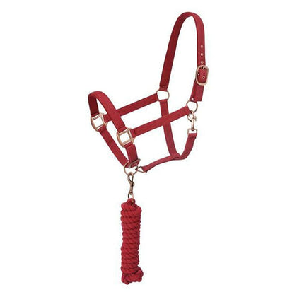 Tough1 Padded Horse Halter w. Lead
