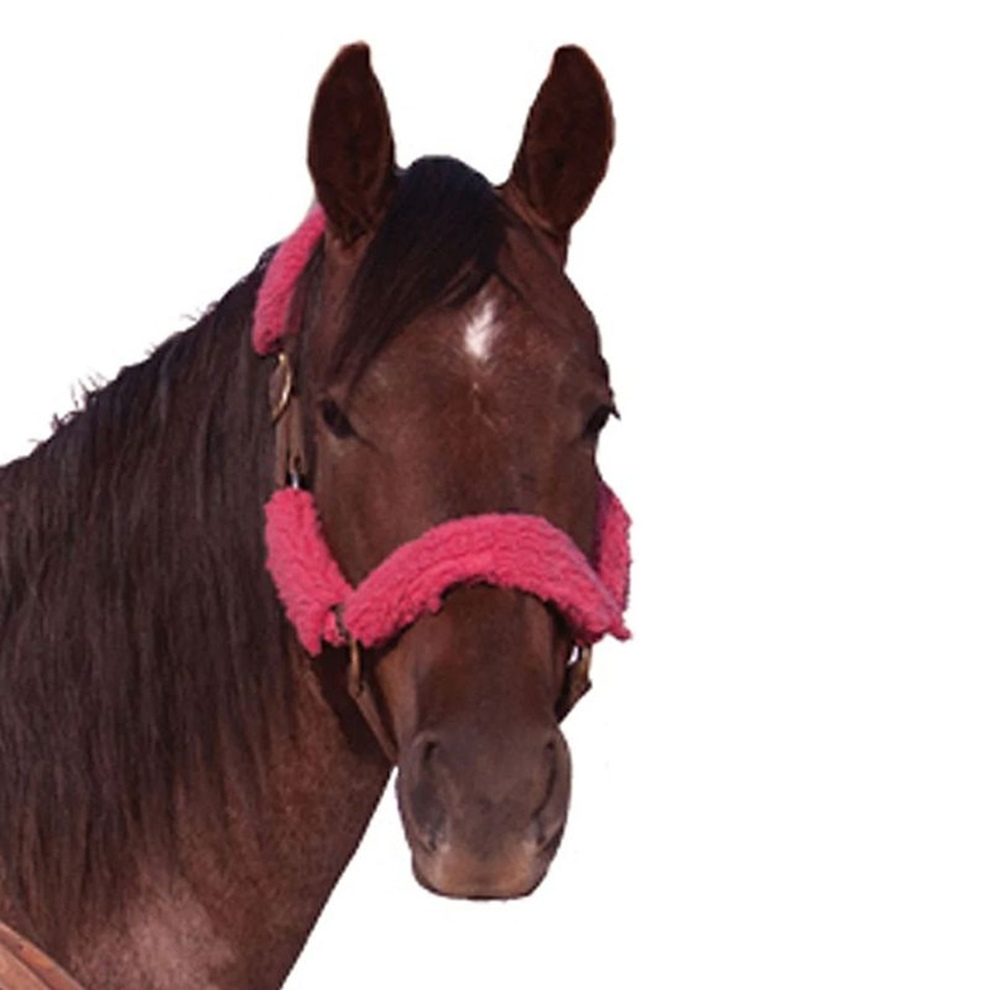Halter Tube Basic Fleece 4-Piece Halter Tube Set– Horse.com