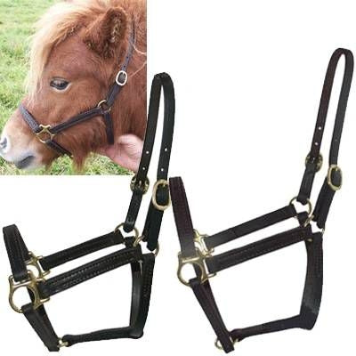 Intrepid Miniature Horse Leather Halter