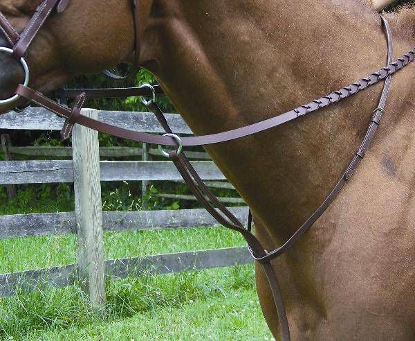 Pro-Trainer Raised Running Martingale
