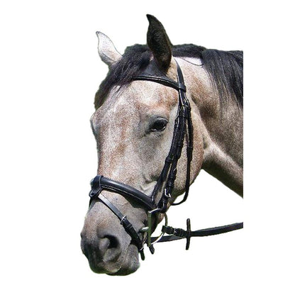 Shannon Raised Padded Snaffle Bridle
