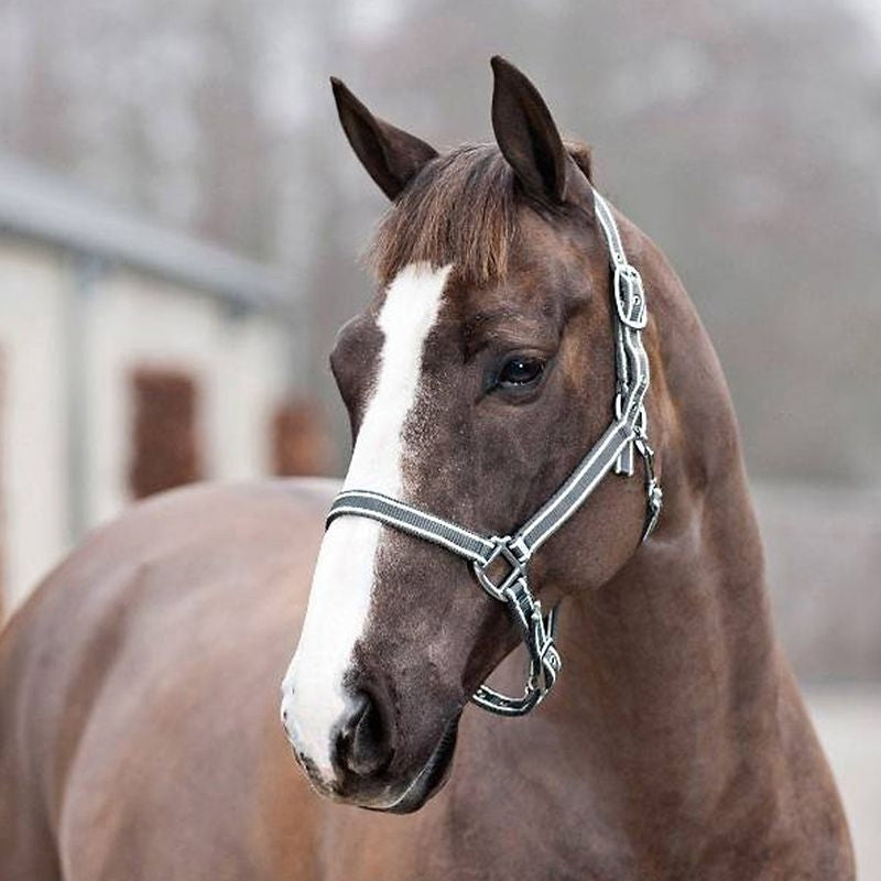 Horze Nice Halter