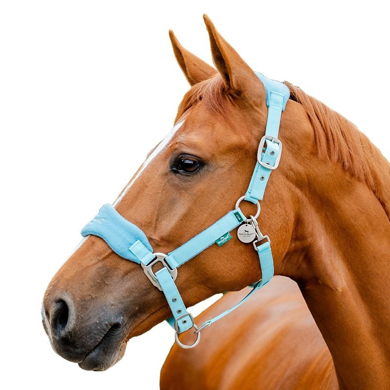 Horseware Sig Grooming Halter