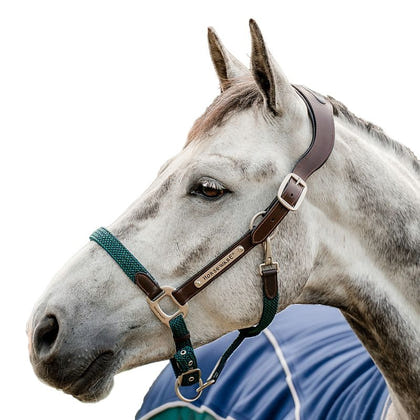 Horseware Sig Braided Halter