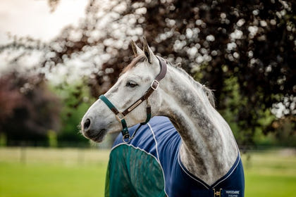 Horseware Sig Braided Halter