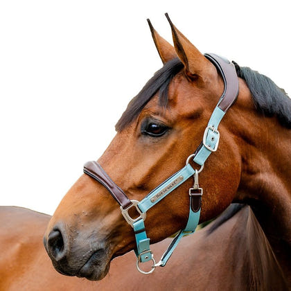 Horseware Sig Comp Halter