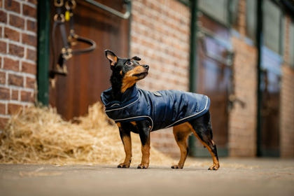 Horseware Signature Dog Blanket
