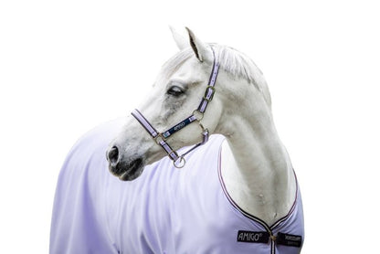 Amigo Headcollar Cob Navy/Silver