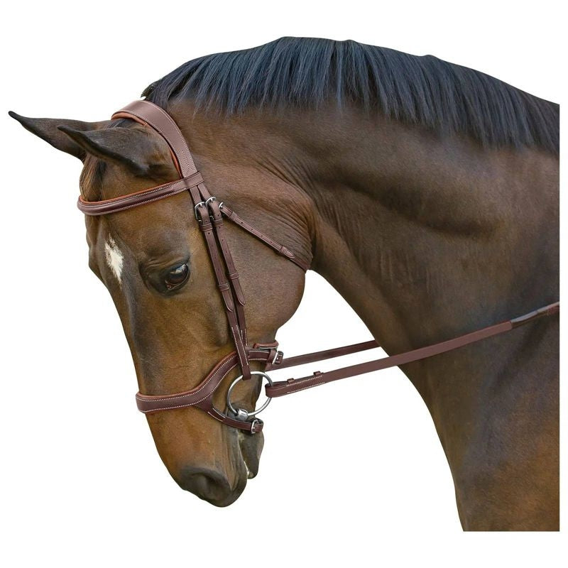 M. Toulouse Jumper Bridle