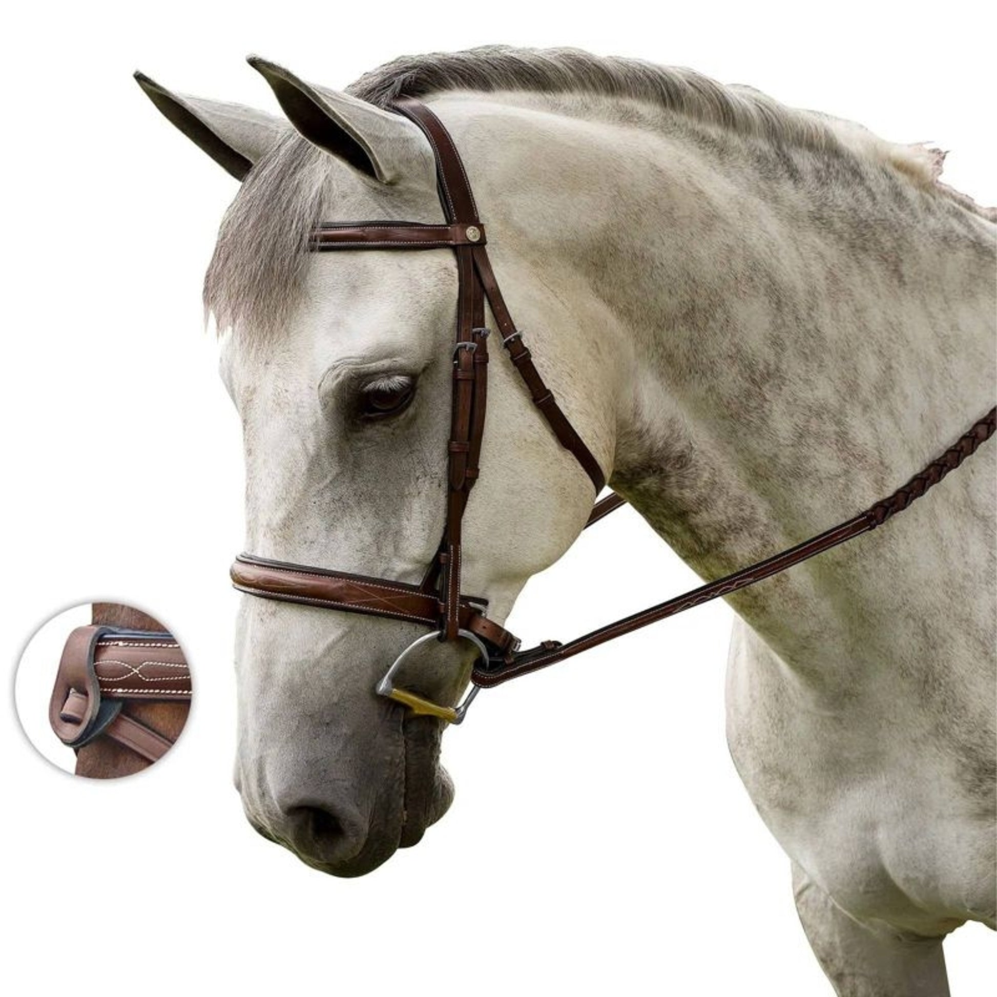 M. Toulouse Liza Hunter Bridle