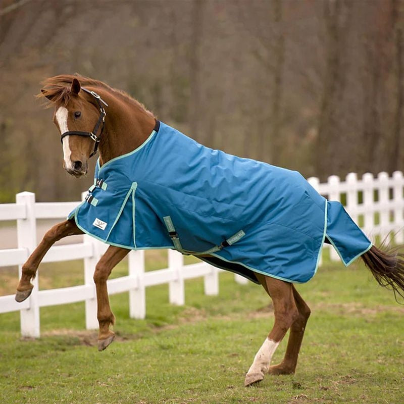 TuffRider 1200D Std Neck Blanket 75 Seaport Blue