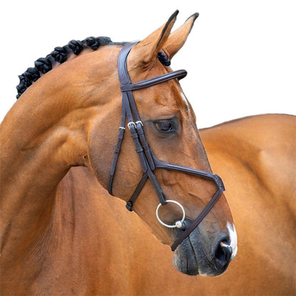 Shires Velociti Lusso Grackle Bridle