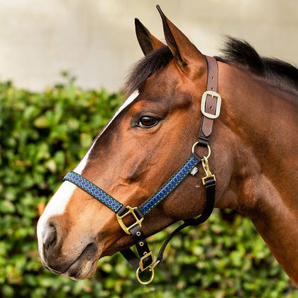 Equinavia Ribbon Break Halter