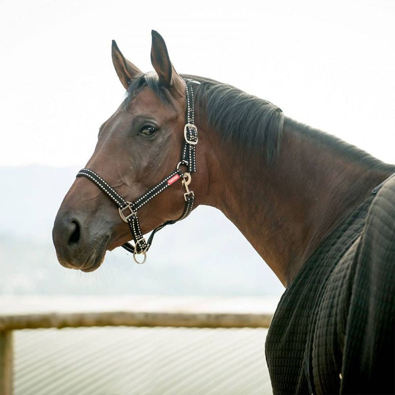 Horze Cooper Halter with Lead Rope