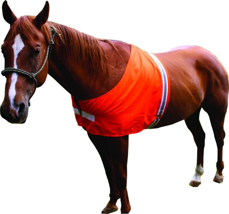 Dog Not Gone Safety Horse Vest Orange Pony