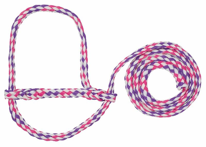 Poly Rope Sheep/Goat Hltr 435