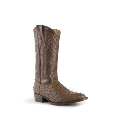 Ferrini Mens Colt Ostrich Boots