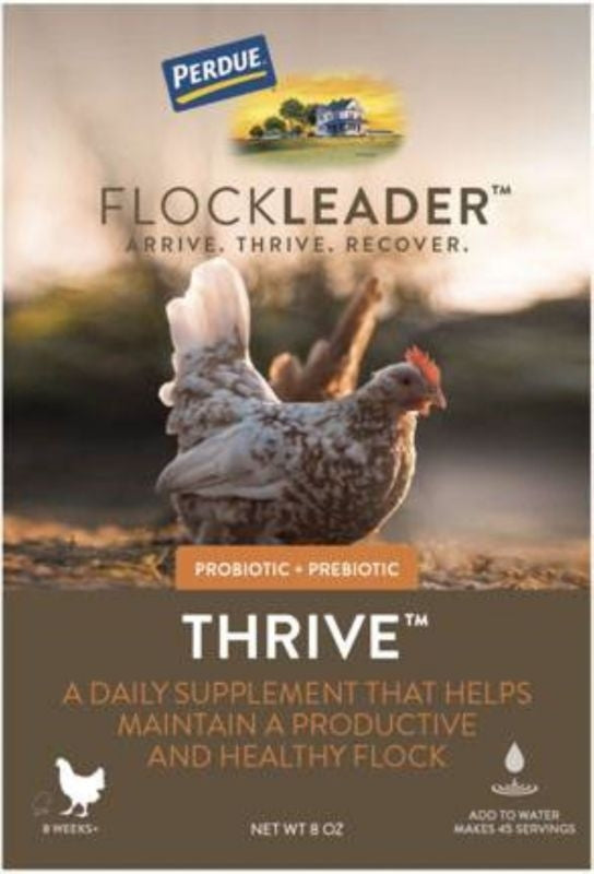 Perdue Flockleader Thrive Poultry Powder 8oz