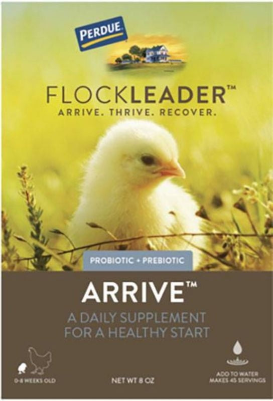 Perdue Flockleader Arrive Poultry Powder 8oz