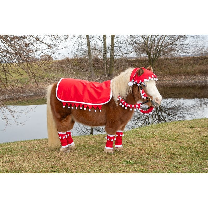 Tough1 Mini 5 Piece Western Santa Set