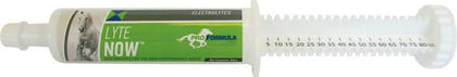 SmartEquine Lyte Now Electrolytes Paste