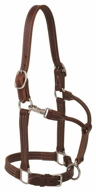 Weaver Ranch Horse Halter