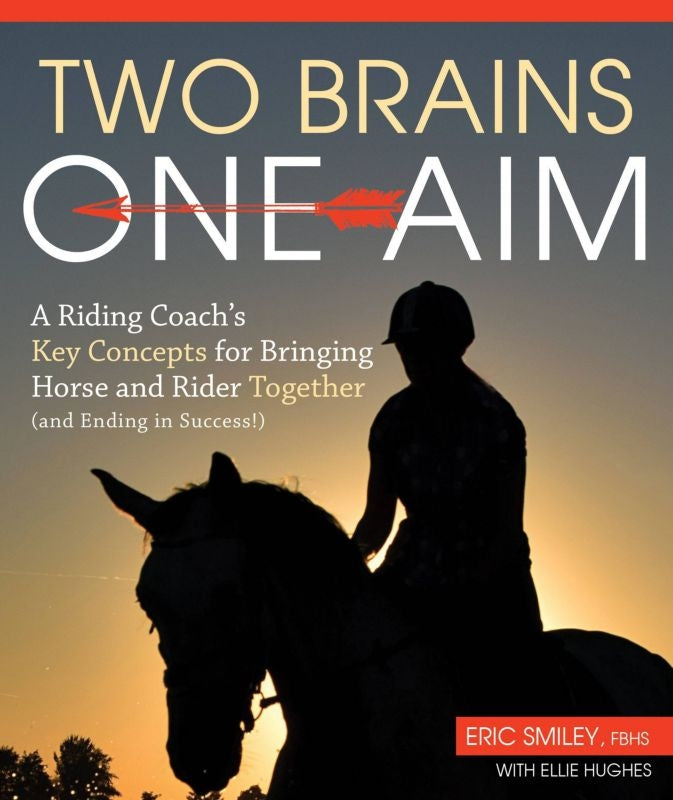 Two Brains One Aim 192 Pages