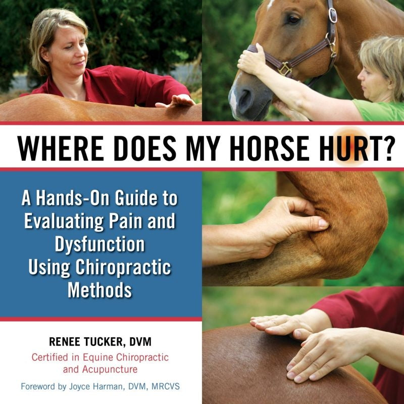 Where Does My Horse Hurt 184 Pages