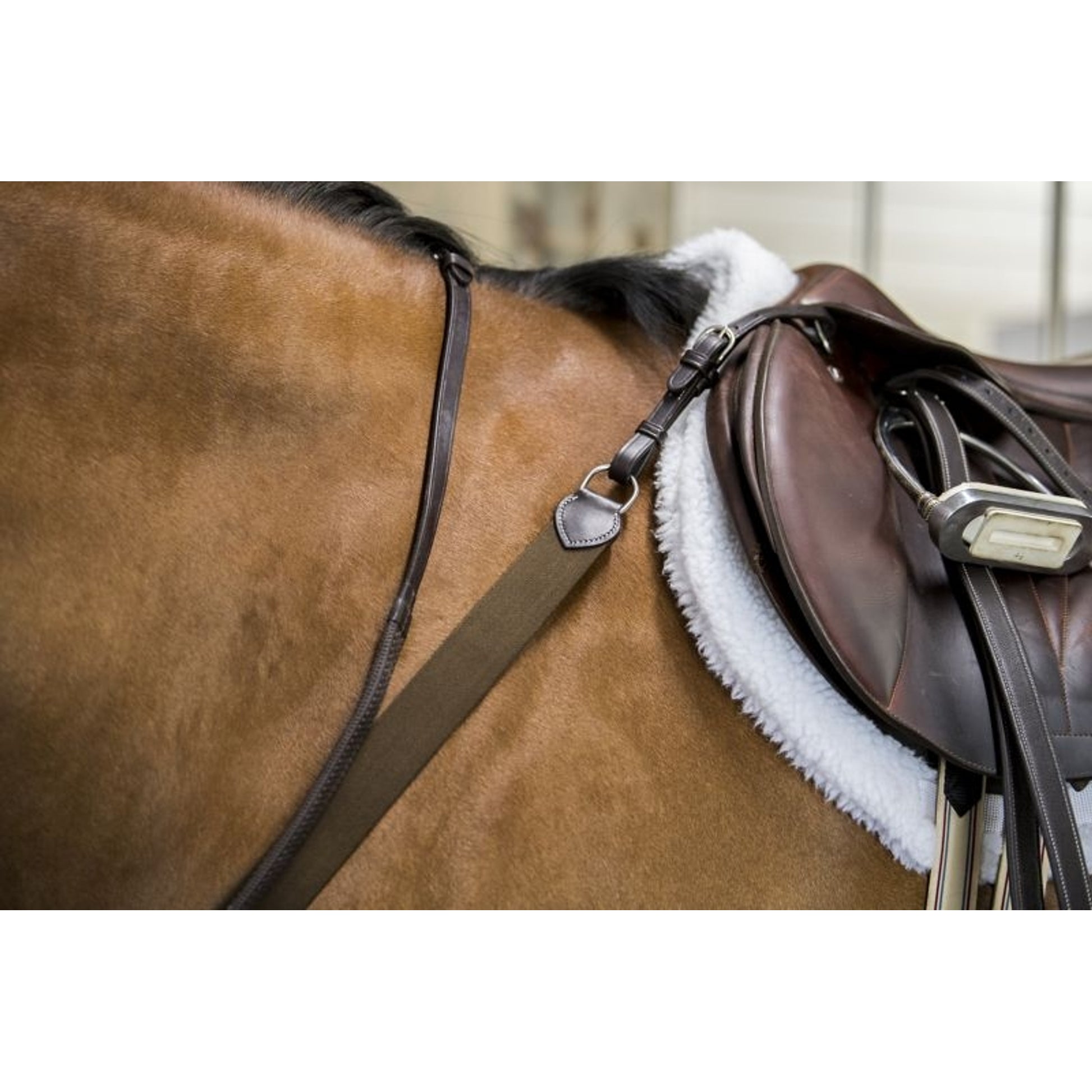 OEQ Elastic Breastplate with Running Attachment