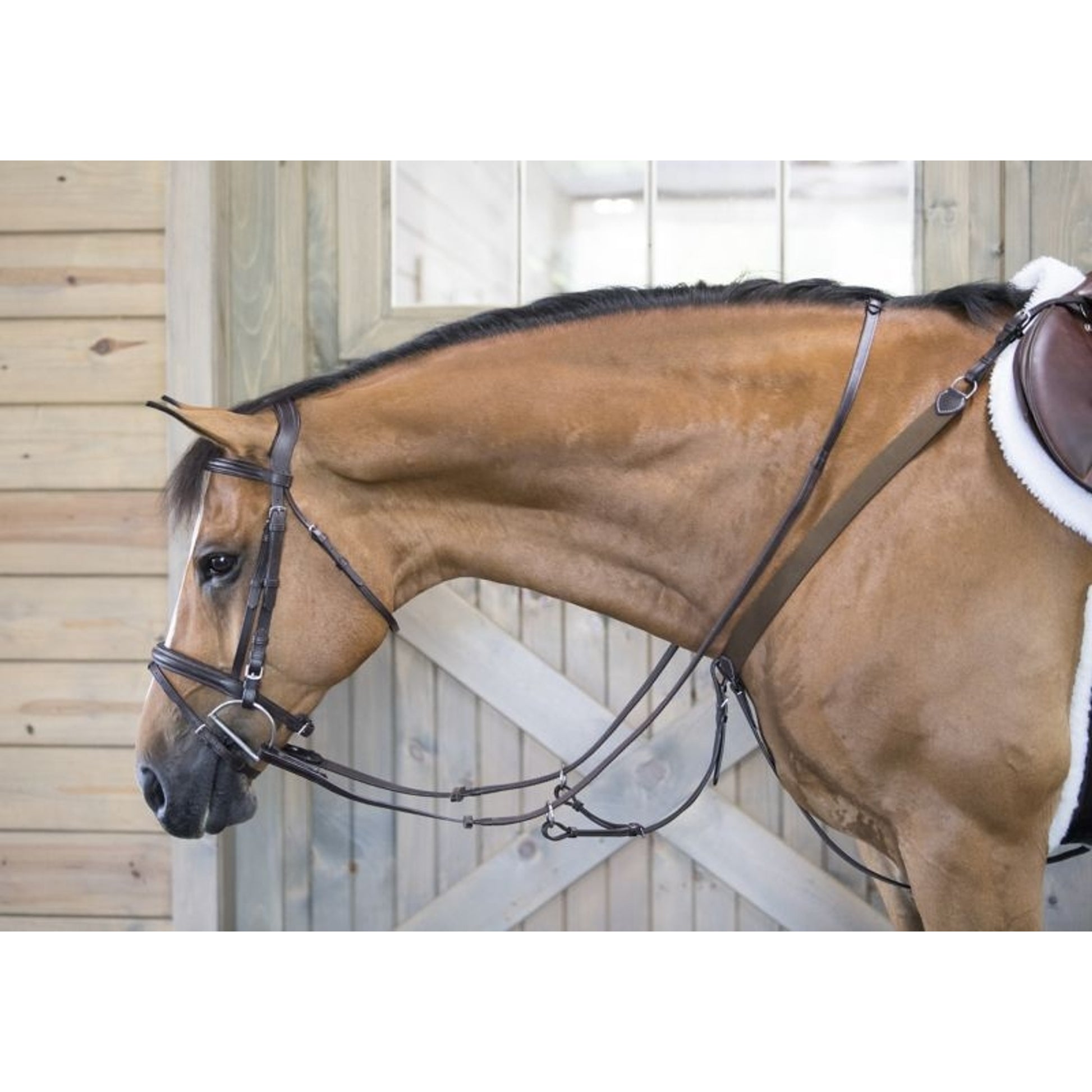 OEQ Elastic Breastplate with Running Attachment