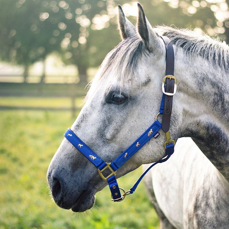 Gatsby Nylon Breakaway Halter Overlay