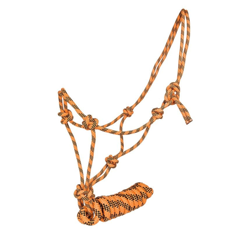 Tabelo Cowboy Rope Halter with Lead