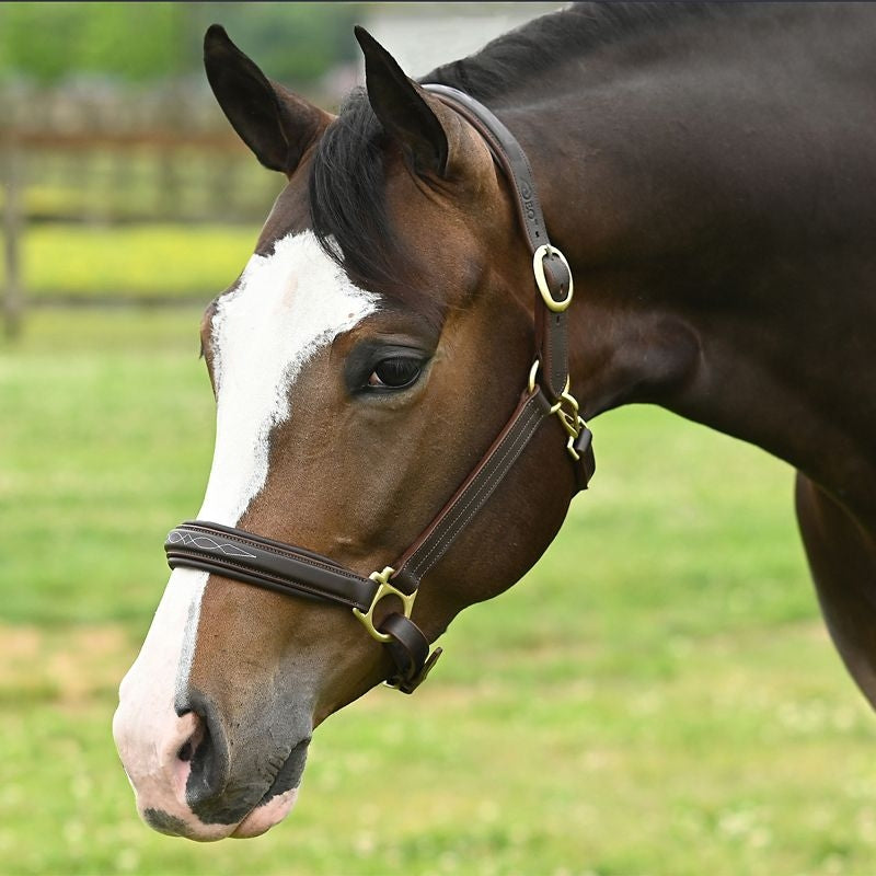 OEQ Fancy Stitched Square Raised Halter