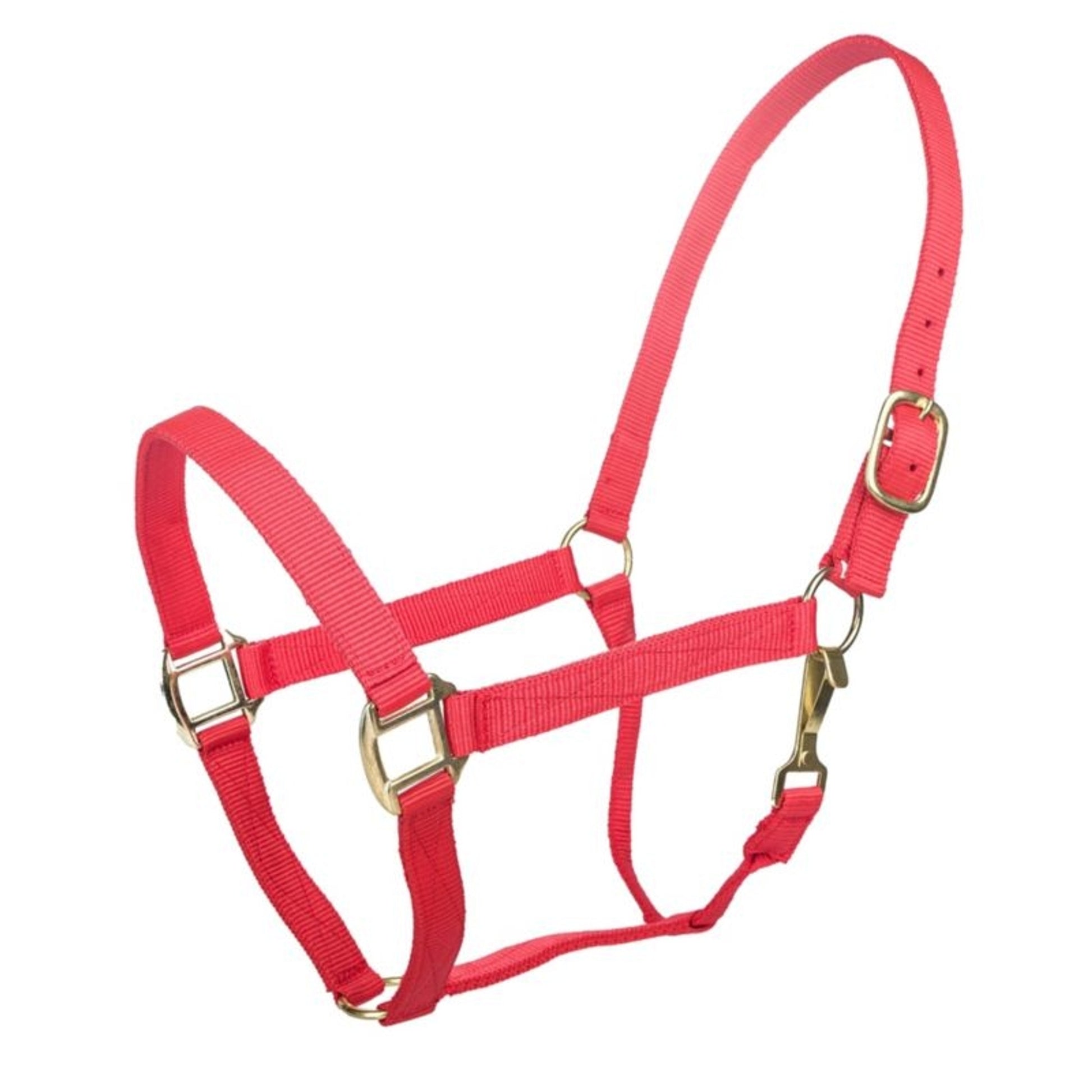 Tabelo Nylon Halter with Snap
