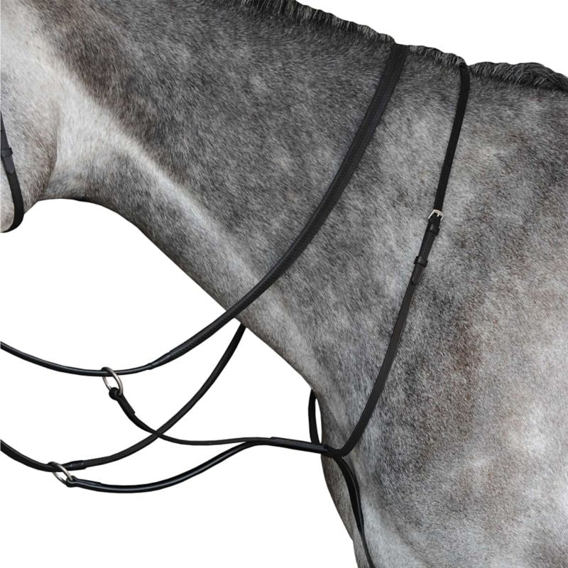 Collegiate Running Martingale