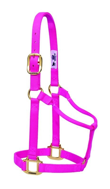 Weaver Org 3/4in Nylon Halter