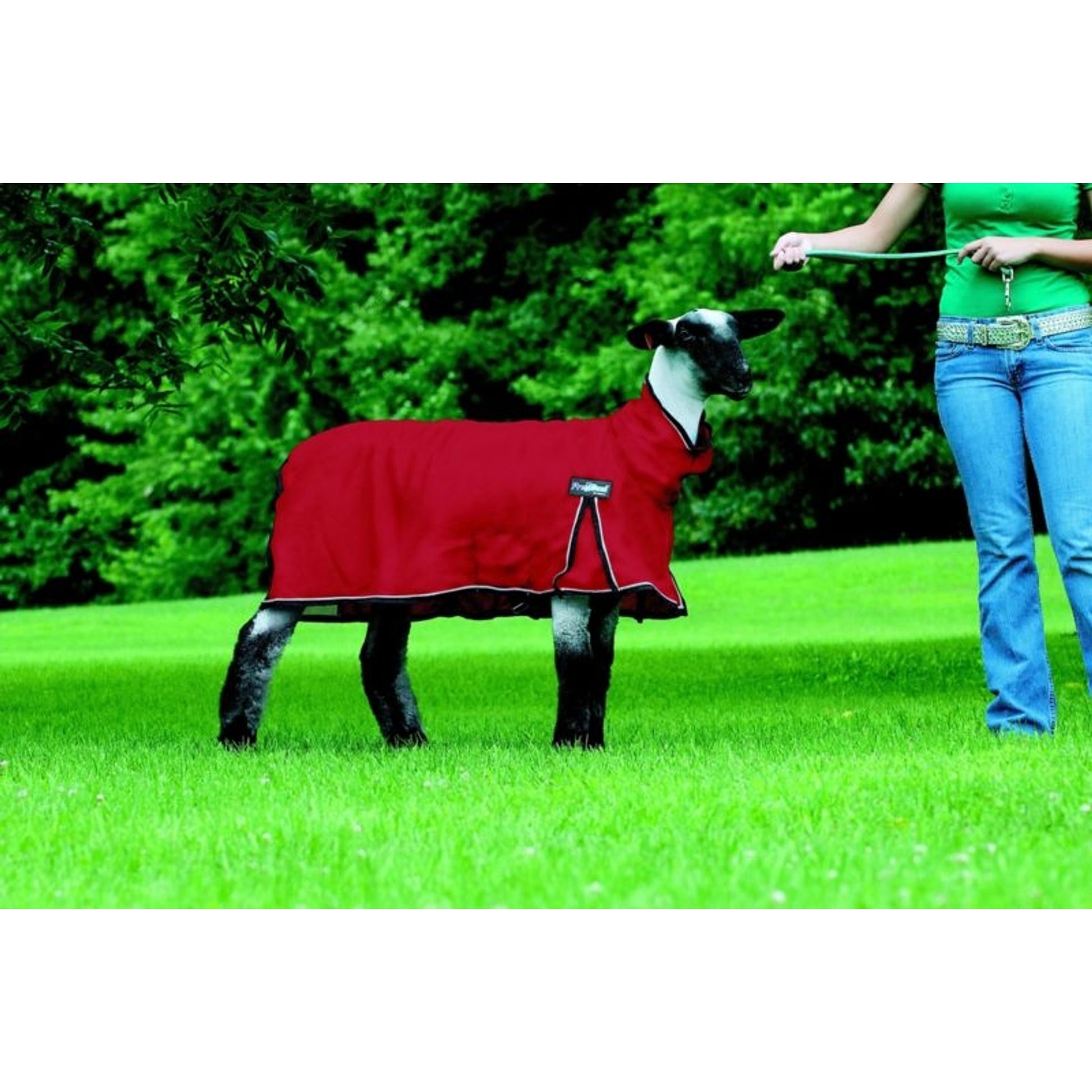ProCool Mesh Sheep Blanket