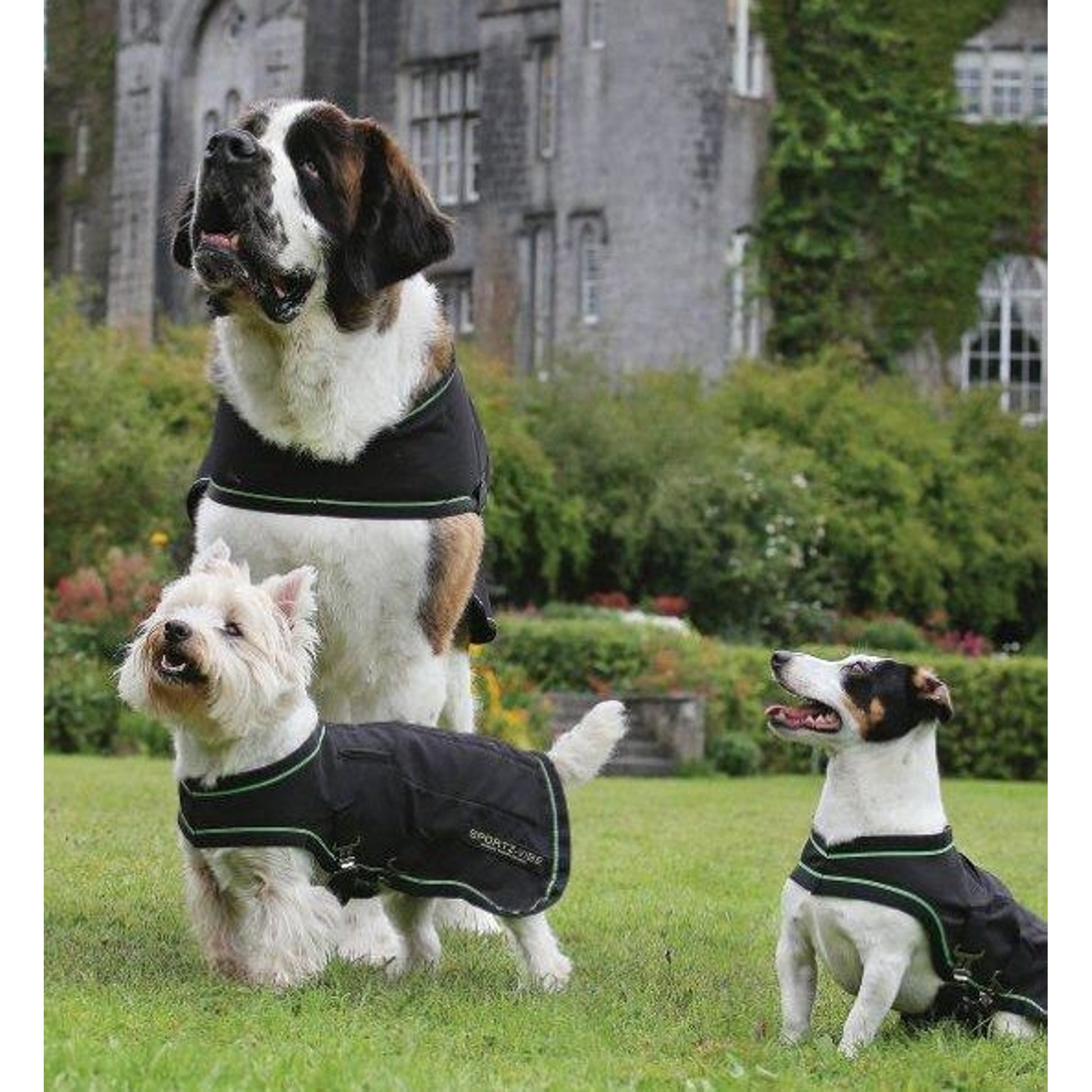Sportz-Vibe Dog Blanket