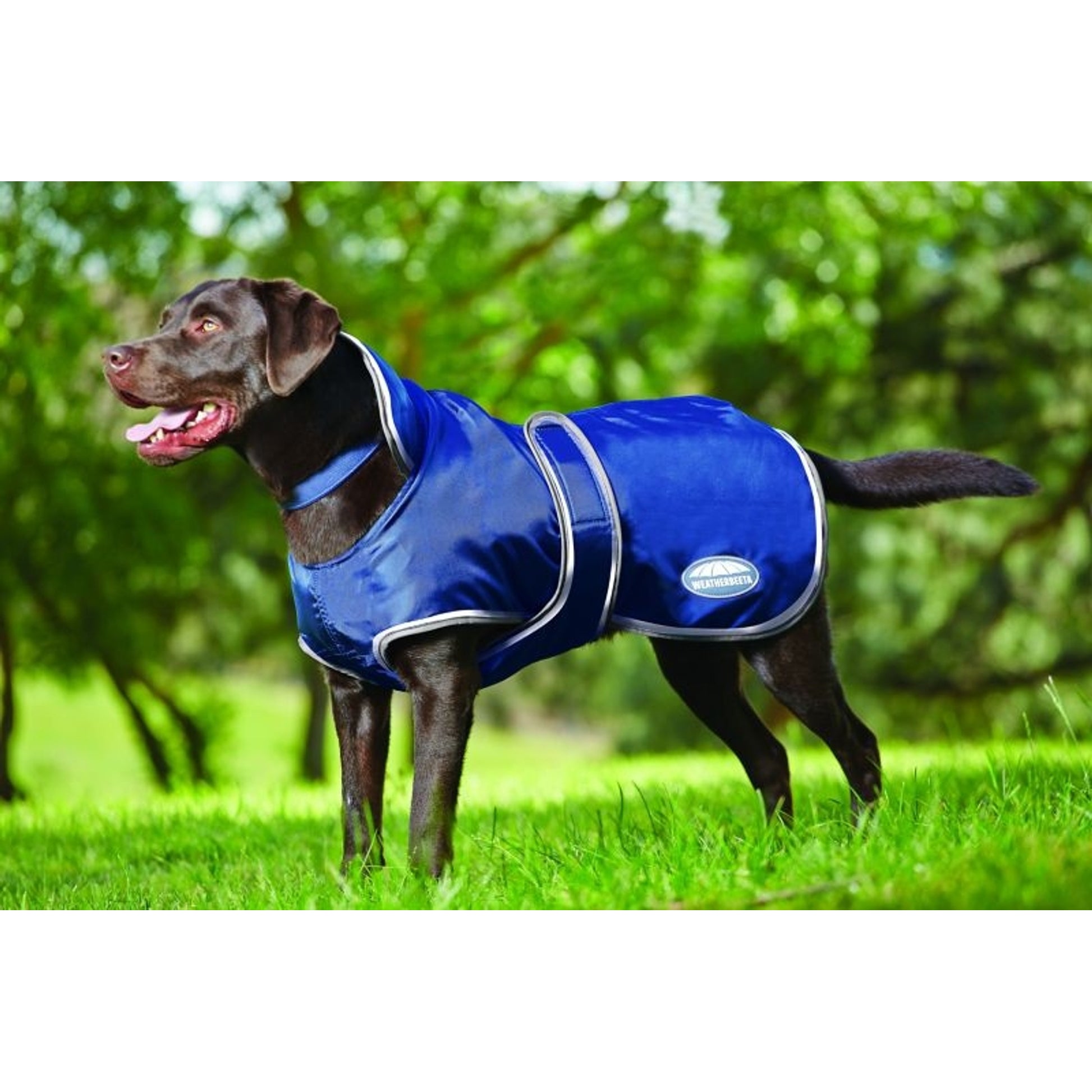 Weatherbeeta 420D Dog Windbreaker Fleece Lined with Belly Wrap