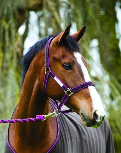 Amigo Headcollar Cob Navy/Silver
