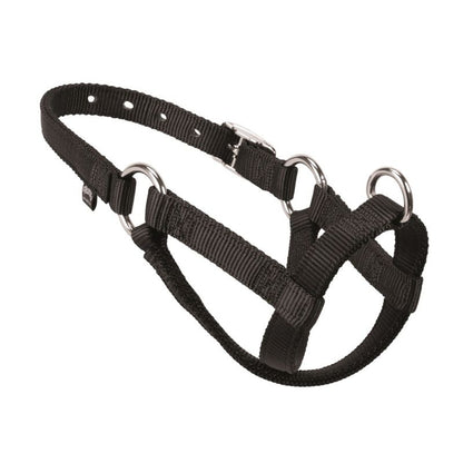 Weaver Nylon Walking Halter