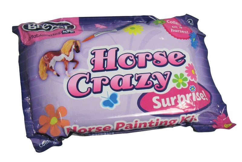 My Dream Horse Horse Crazy Surprise Painting Kit