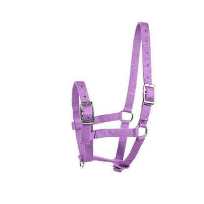 HorZe Spirit Foal Halter Full Blue
