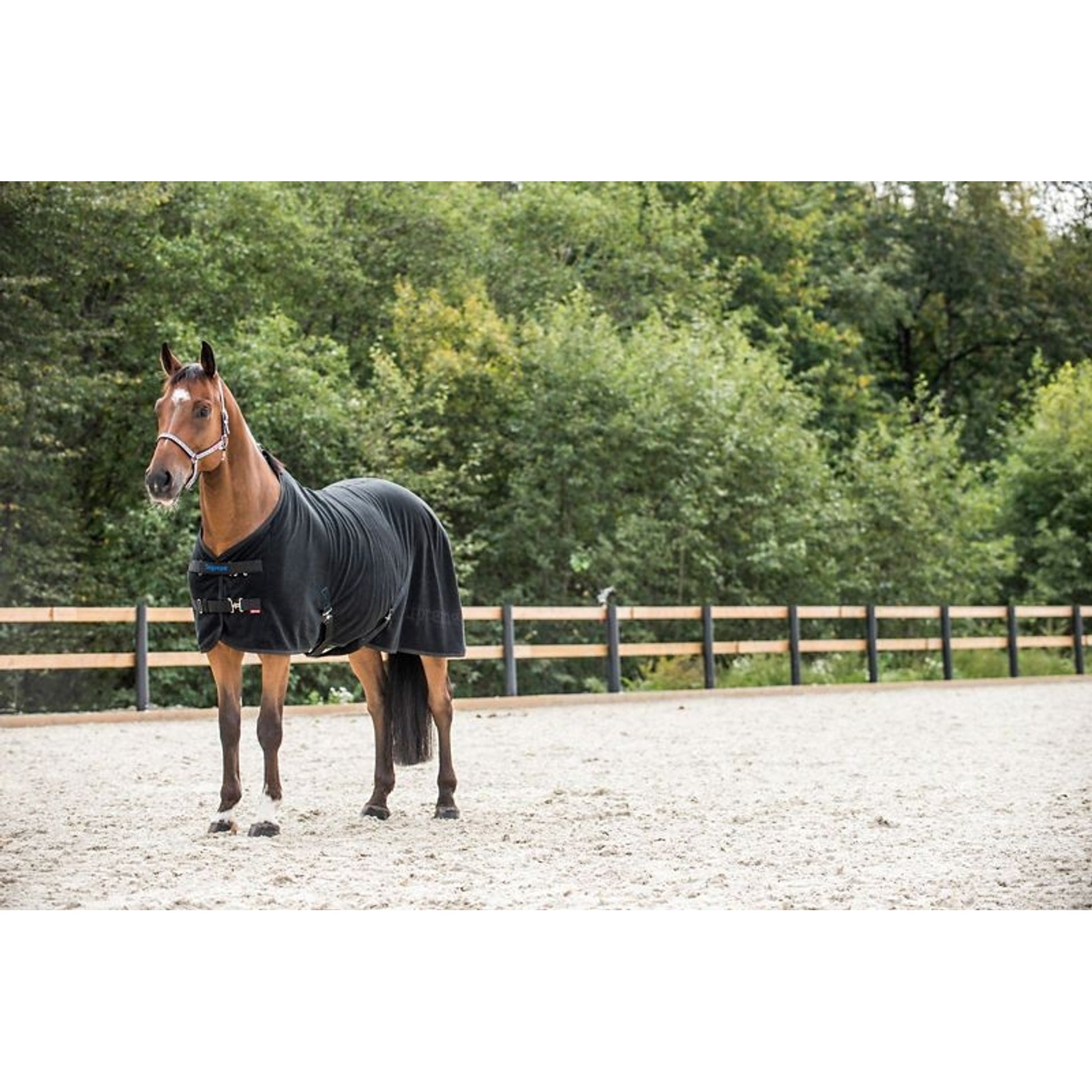 HorZe Supreme Avalanche PRO Fleece Rug 63 Black