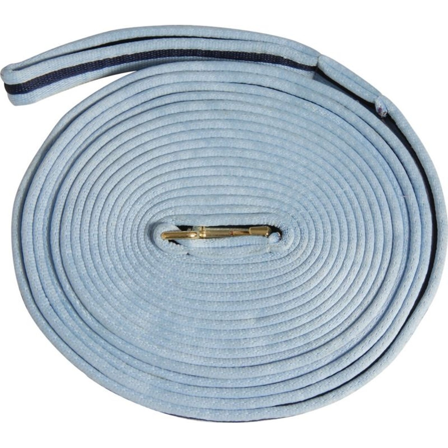 TH1239132.jpg