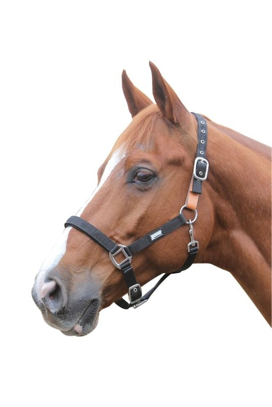 Roma Breakaway Halter