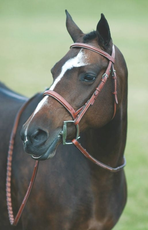 Rodrigo Pessoa Wide Noseband Show Bridle