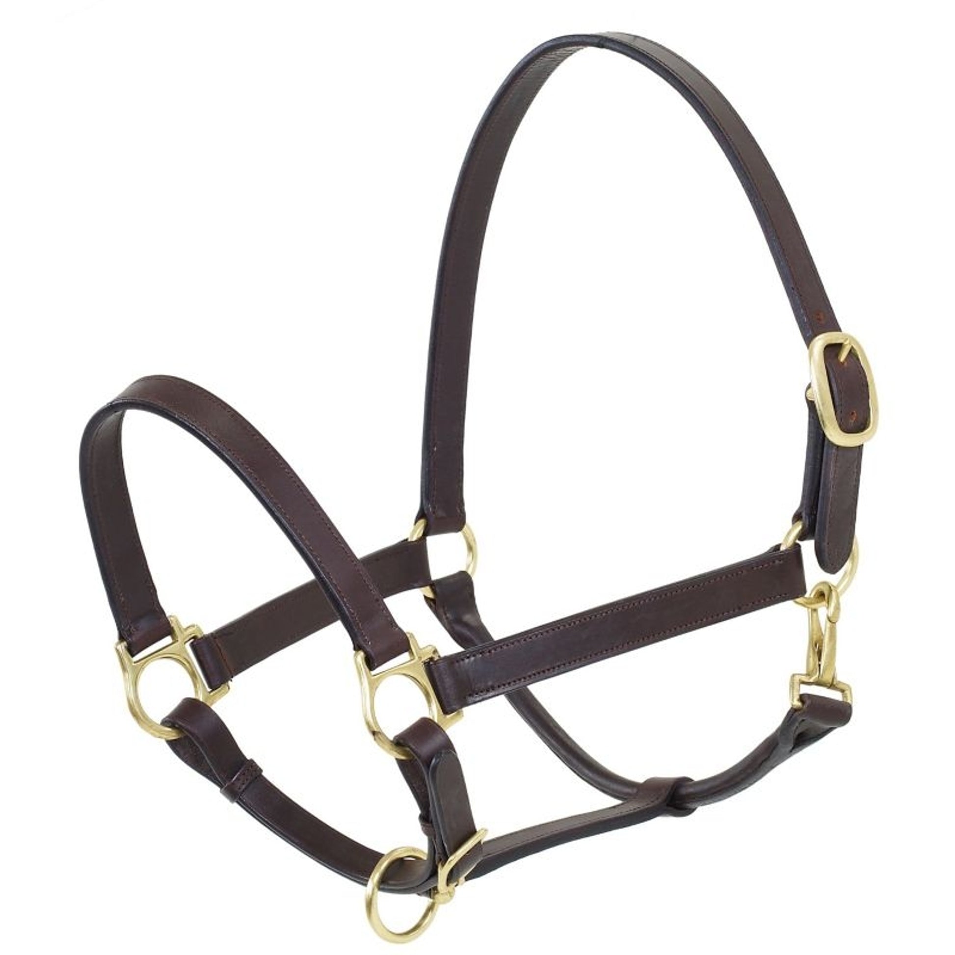 Camelot Stable Halter Oversize Brn