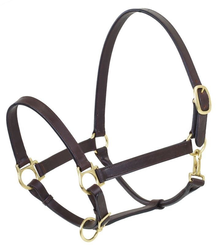 Camelot Stable Halter Oversize Brn