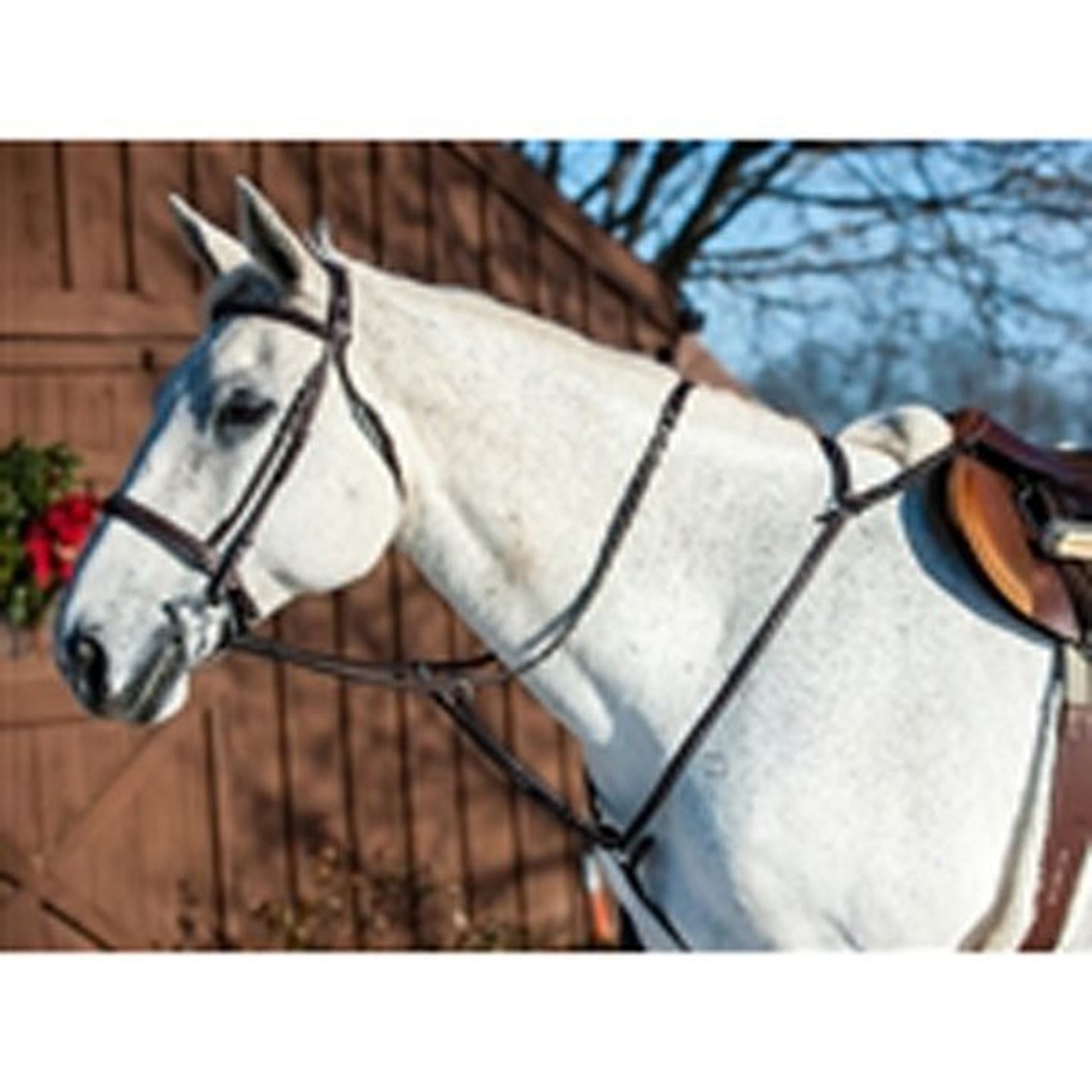 Nunn Finer Hunting Breastplate Cob Havana